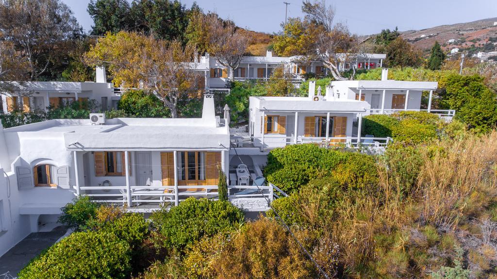 Irene'S Villas Ándros Buitenkant foto