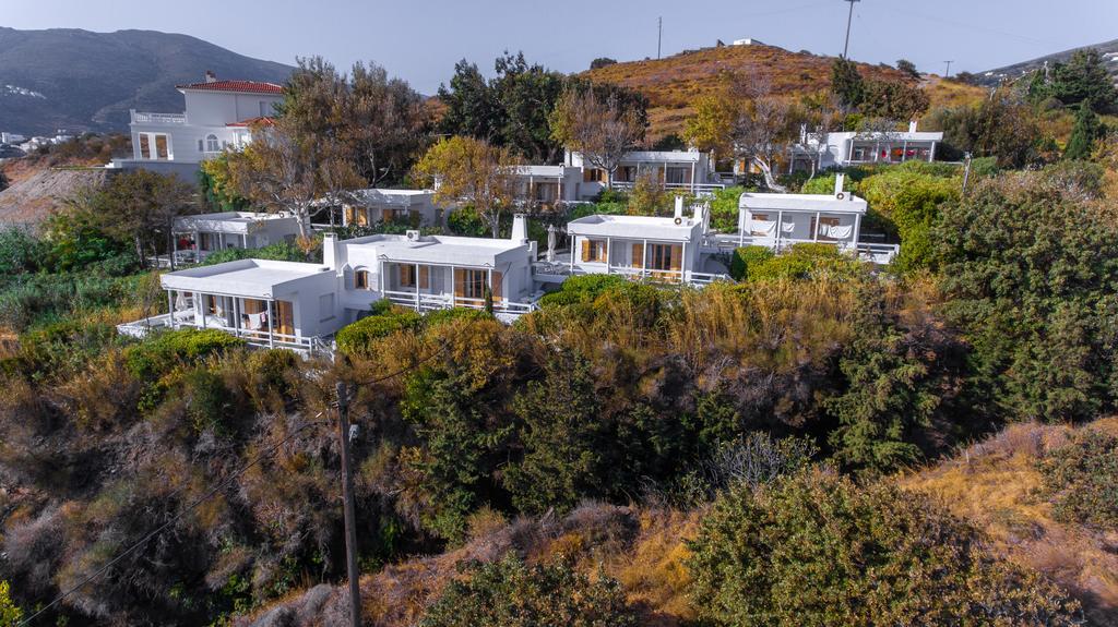 Irene'S Villas Ándros Buitenkant foto