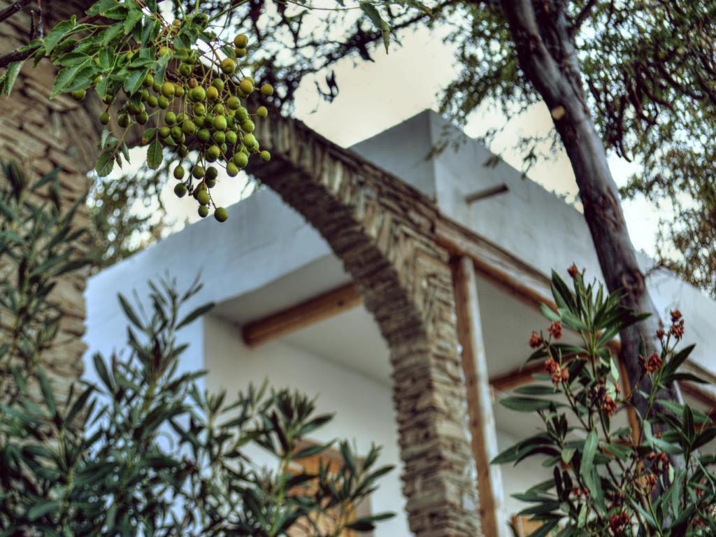 Irene'S Villas Ándros Buitenkant foto